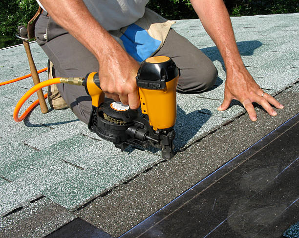Best Roof Leak Repair  in Cicero, IN